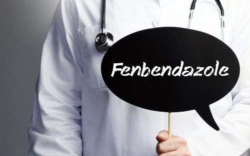 fenbendazole powder